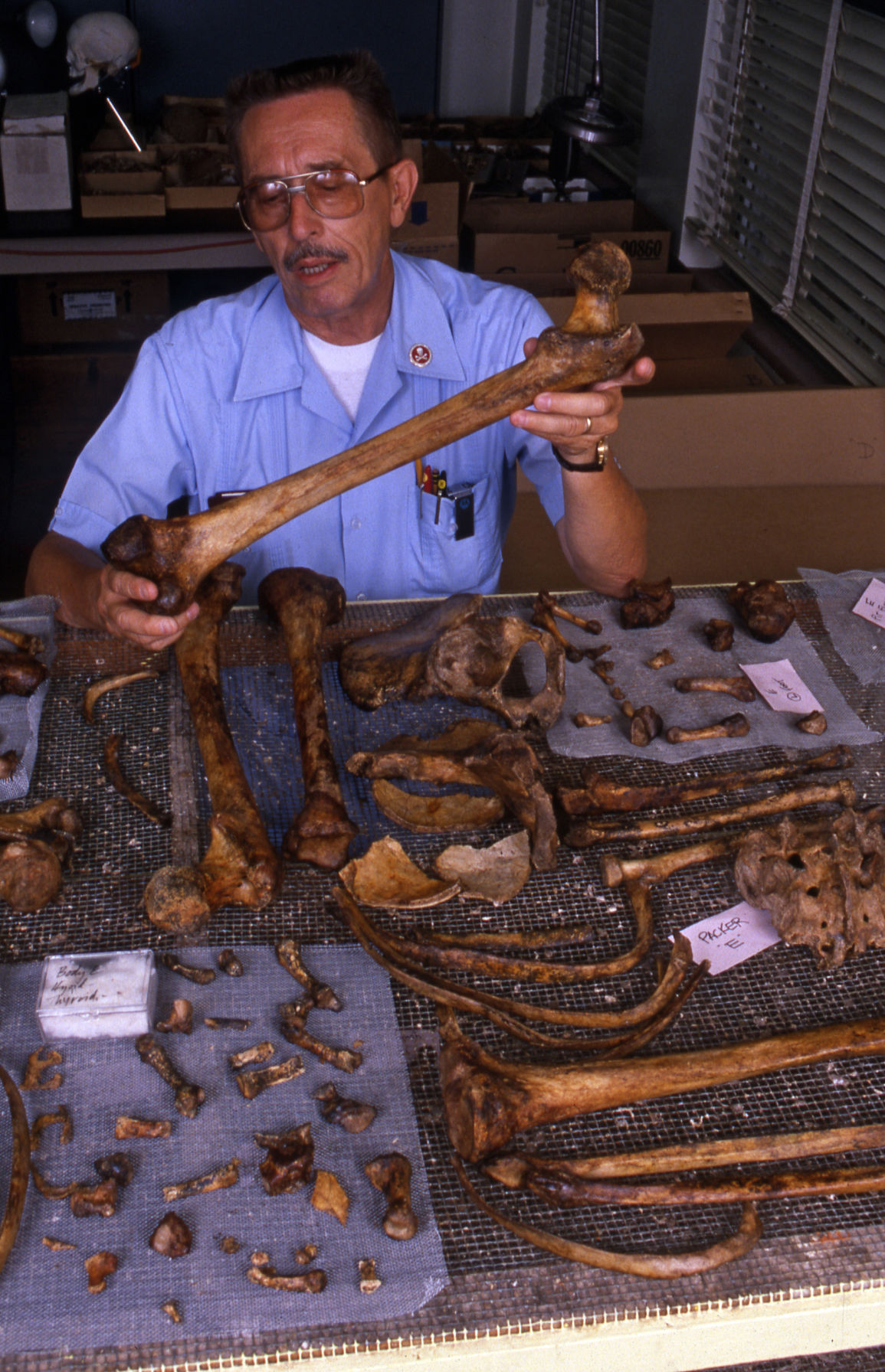 Dr. Walter Birkby